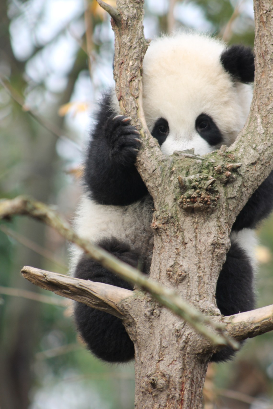 69276A1F-897B-4D6D-B352-17152376801E